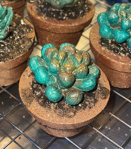 THE PLANT LOVER SOAP/BATH BOMB🪴
